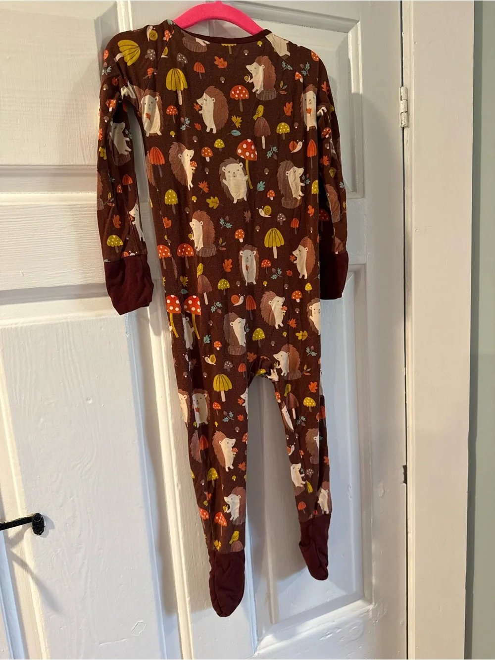 Little Sleepies zippy footie pajamas - Hedgehog